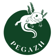 Association  (Organisateur) 
